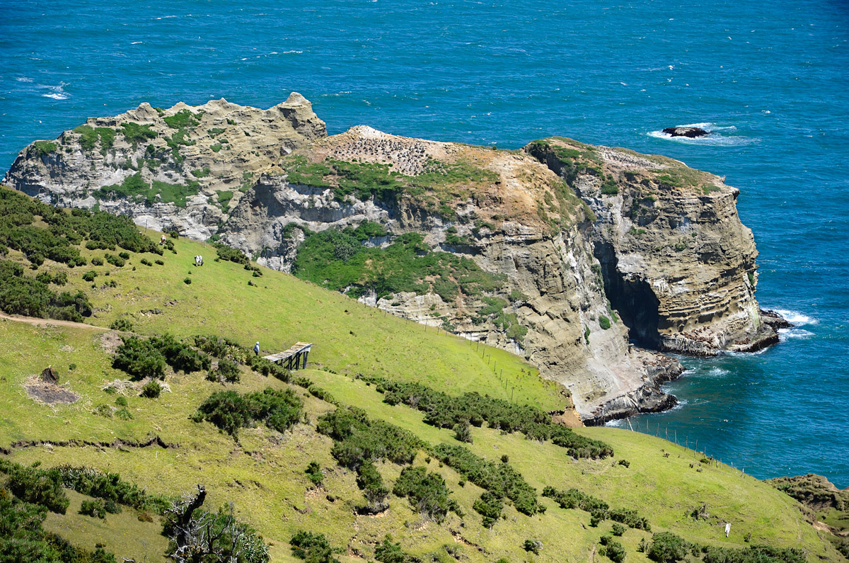 Chiloé 2016 - Muelle de las almas