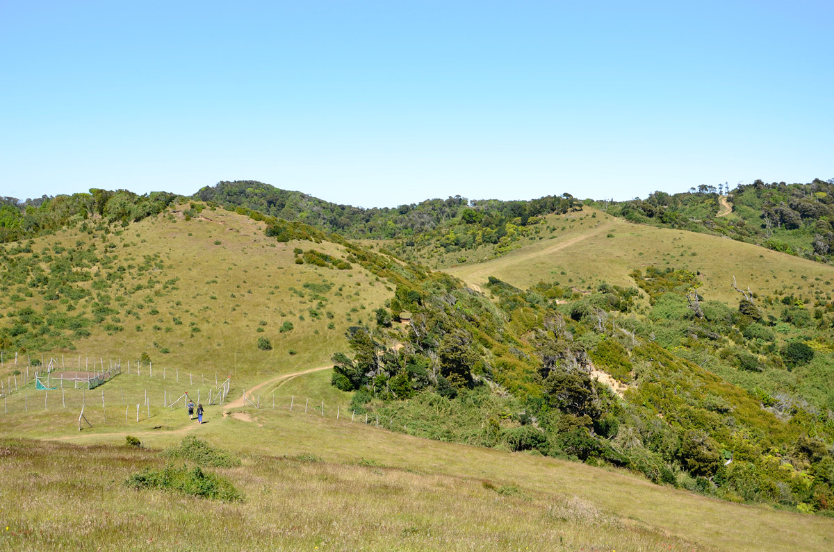 Chiloé 2016 - Muelle de las almas