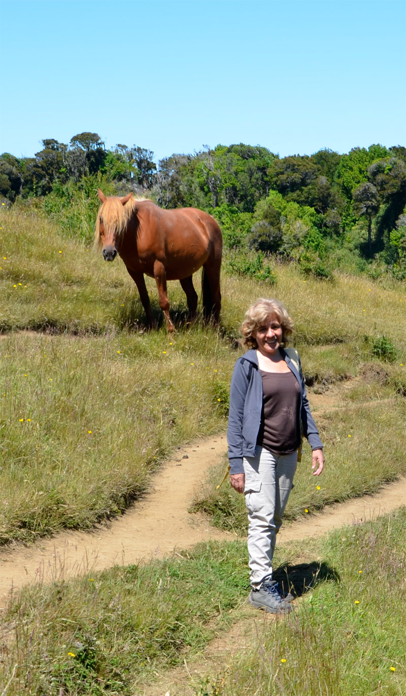 Chiloé 2016 - Muelle de las almas