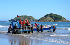 Chiloé 2016 - Punta de Punihuil - Pinguineras