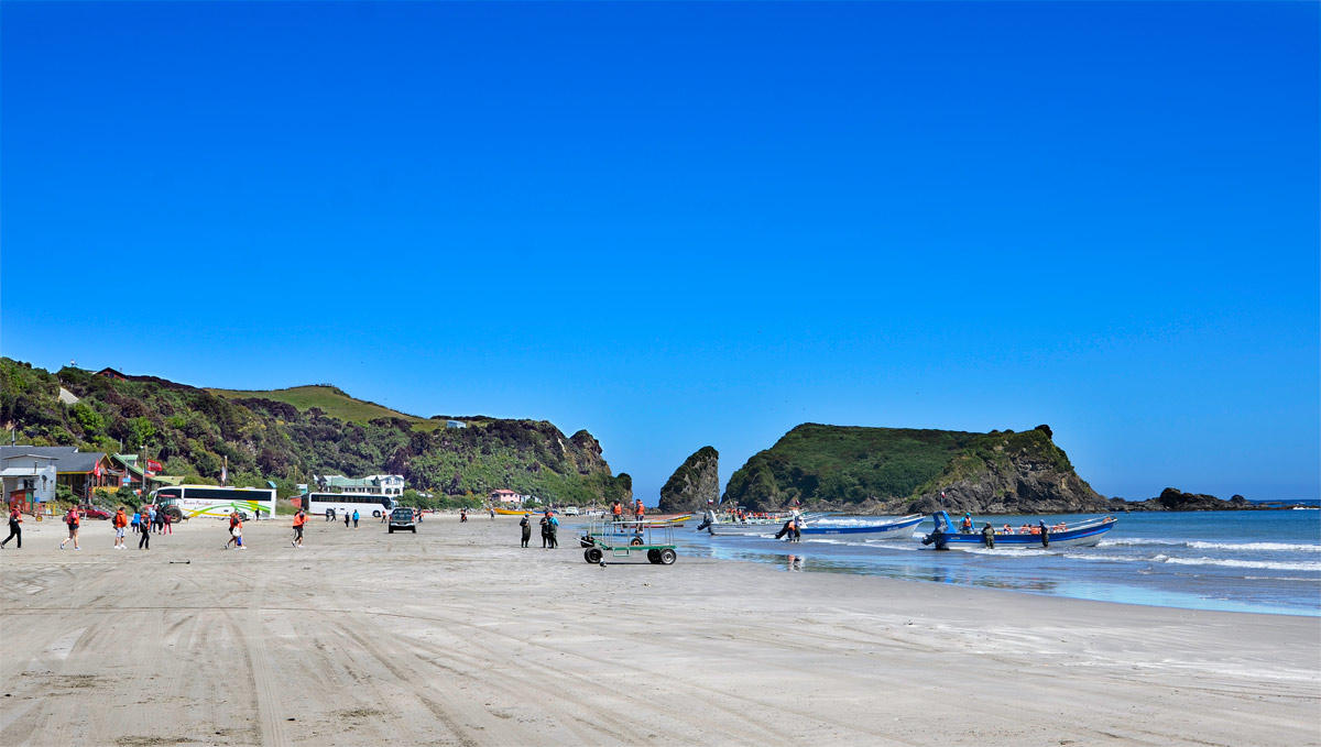 Chiloé 2016 - Punta de Punihuil - Pinguineras