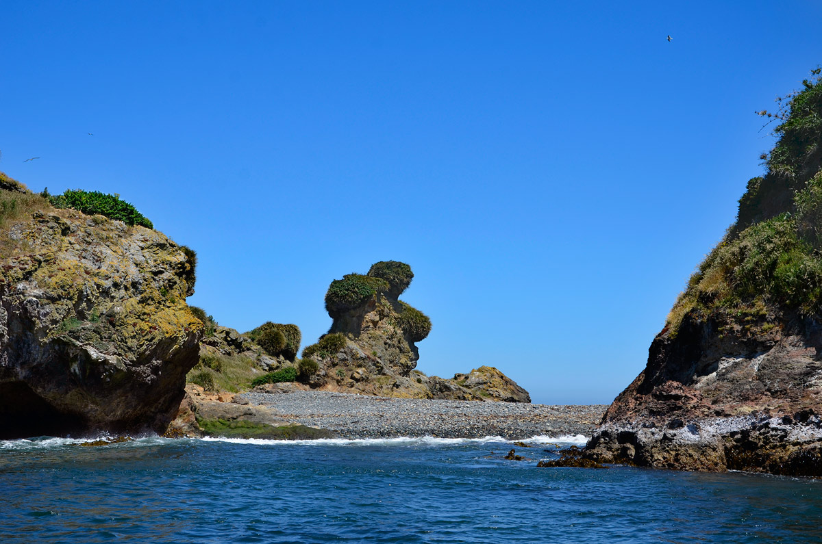 Chiloé 2016 - Punta de Punihuil - Pinguineras