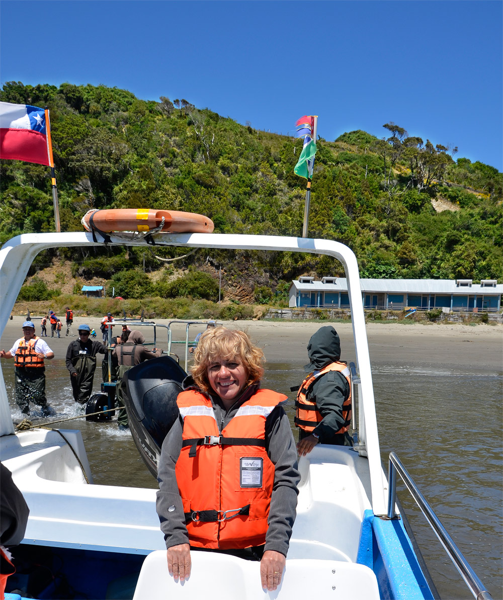 Chiloé 2016 - Punta de Punihuil - Pinguineras