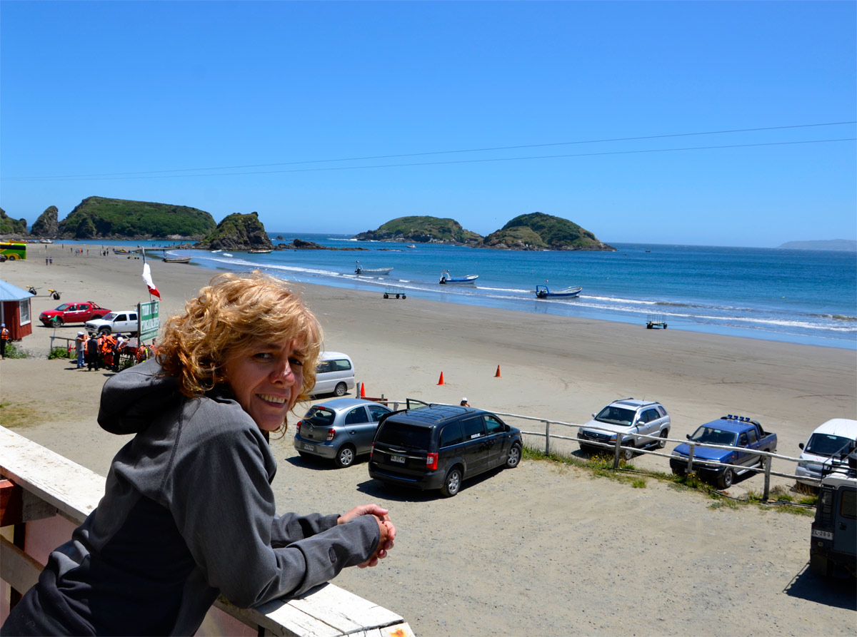 Chiloé 2016 - Punta de Punihuil - Pinguineras