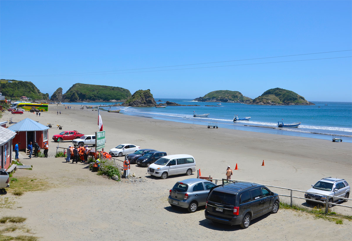 Chiloé 2016 - Punta de Punihuil - Pinguineras