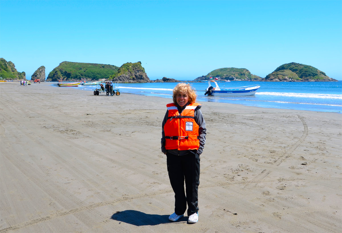 Chiloé 2016 - Punta de Punihuil - Pinguineras