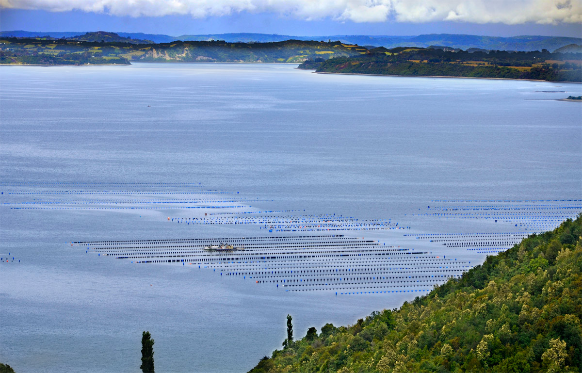 Chiloé 2016 - Quinchao