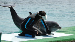 Cartagena de Indias, Baha de Cartagena e Islas del Rosario