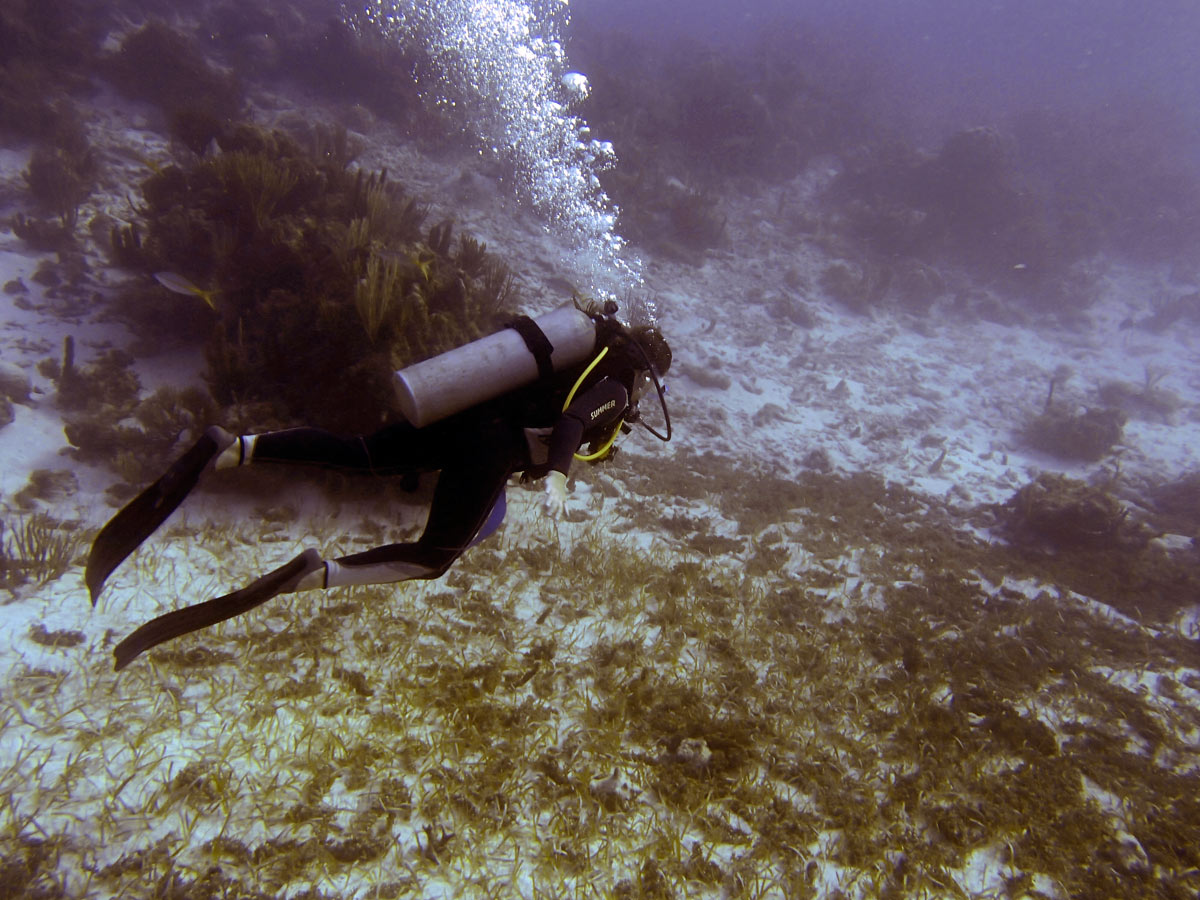 Cayo Largo, Cuba - Buceo