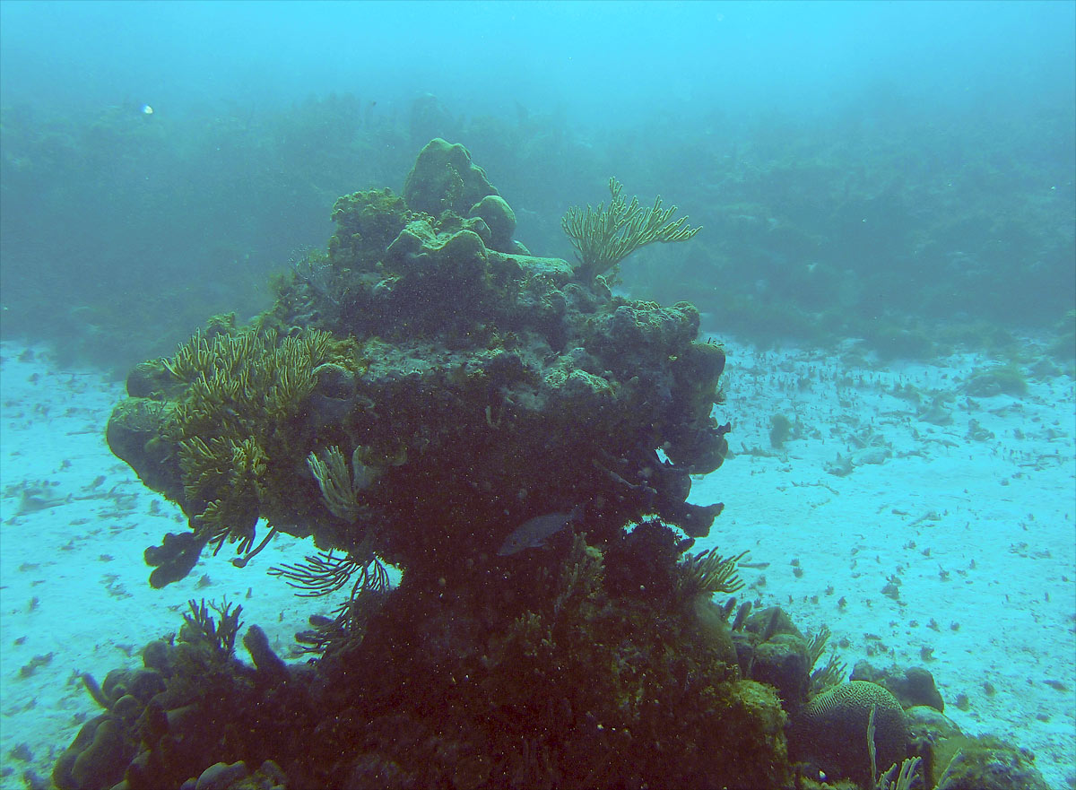 Cayo Largo, Cuba - Buceo