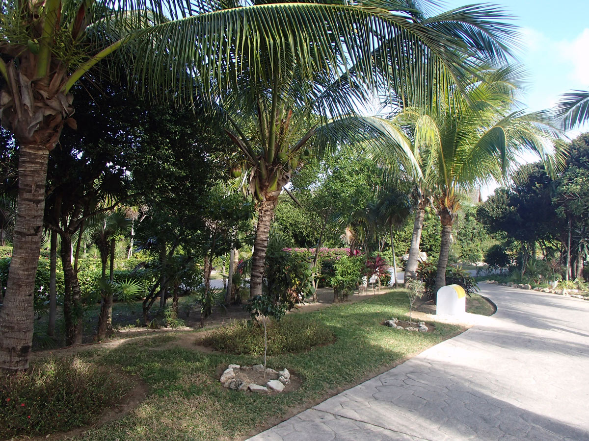 Cuba, Cayo Santa María - Hotel Las Dunas