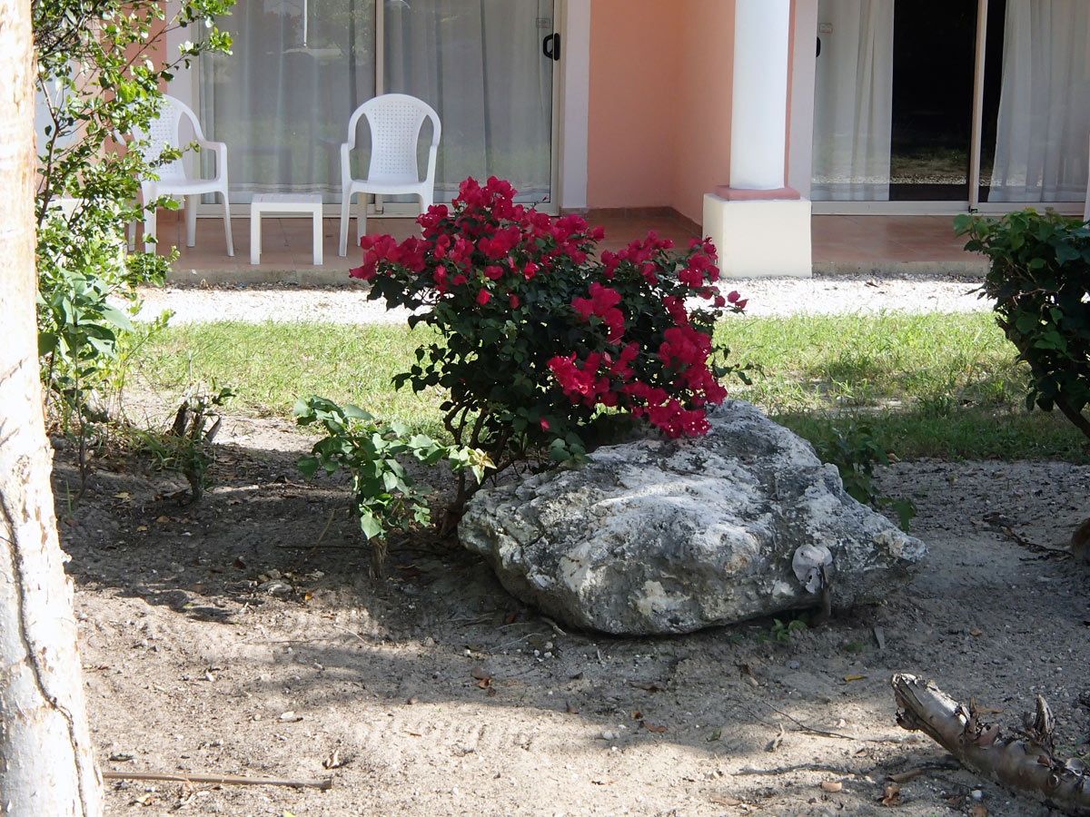 Cuba, Cayo Santa María - Hotel Las Dunas