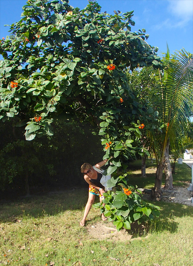 Cuba, Cayo Santa María - Hotel Las Dunas