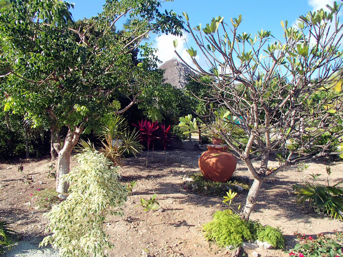 Cuba, Cayo Santa María - Hotel Las Dunas