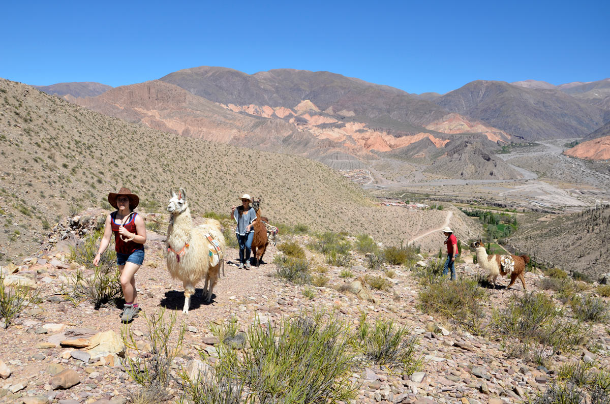 Tilcara, Caravana de Llamas