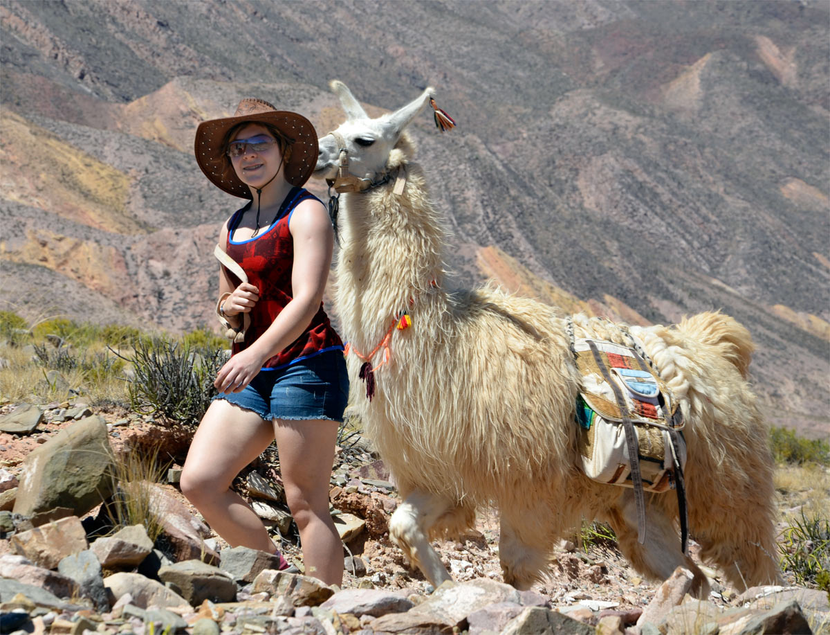Tilcara, Caravana de Llamas