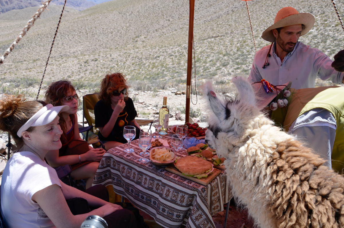 Tilcara, Caravana de Llamas