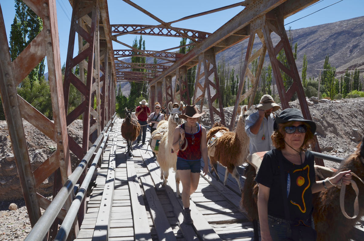 Tilcara, Caravana de llamas