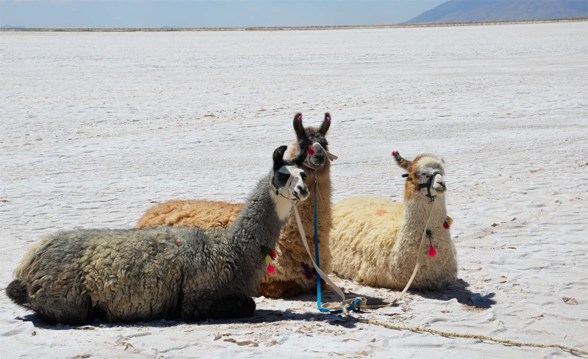 Salinas Grandes