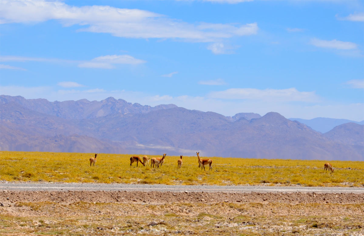 Salinas Grandes