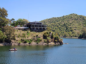 Chiloé 2016 - Punta de Punihuil - Pinguineras