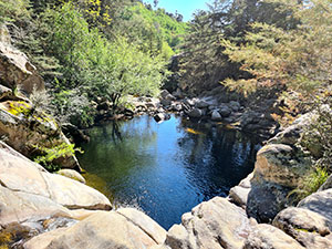 Chiloé 2016 - Punta de Punihuil - Pinguineras