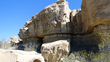 Parque Ischigualasto (Valle de la luna) - El gusano