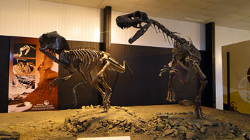 Parque Ischigualasto (Valle de la luna) - Centro de interpretacin