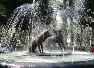 Coyoacan, Mxico DF