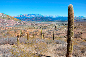 Barra de Valizas  - Uruguay 2018