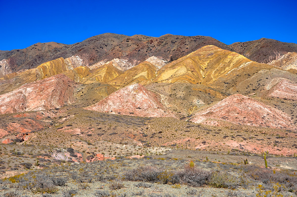 Parque Nacional de los Cardones