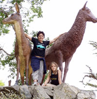 San Martin de los Andes