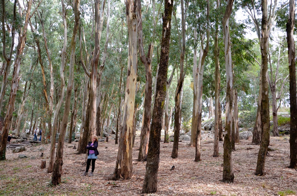 Tandil - Monte Calvario