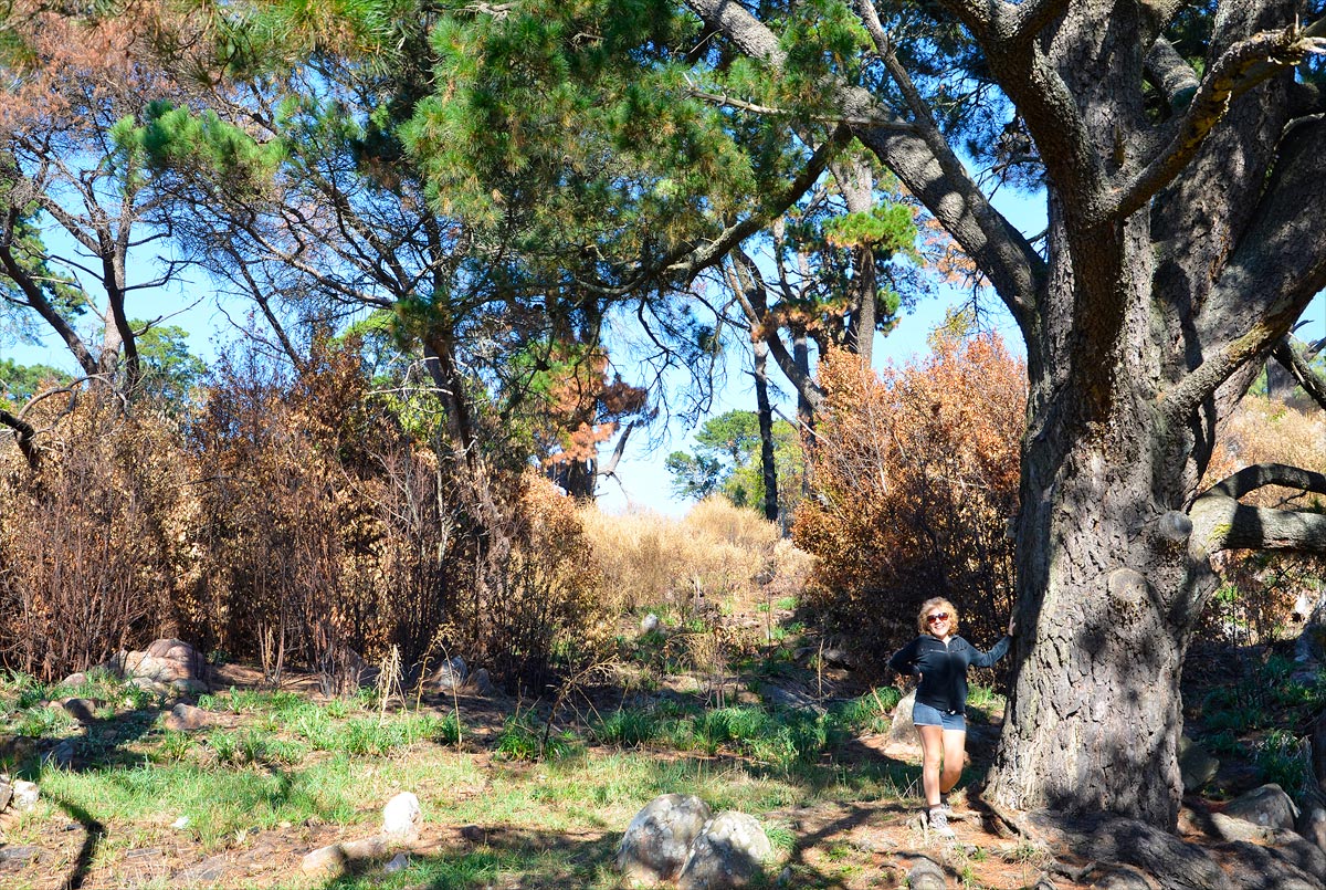 Tandil - Parque Independencia
