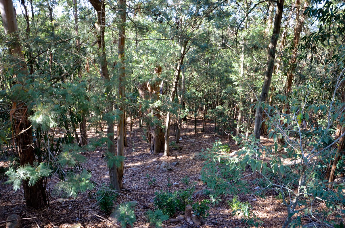 Tandil - Parque Independencia