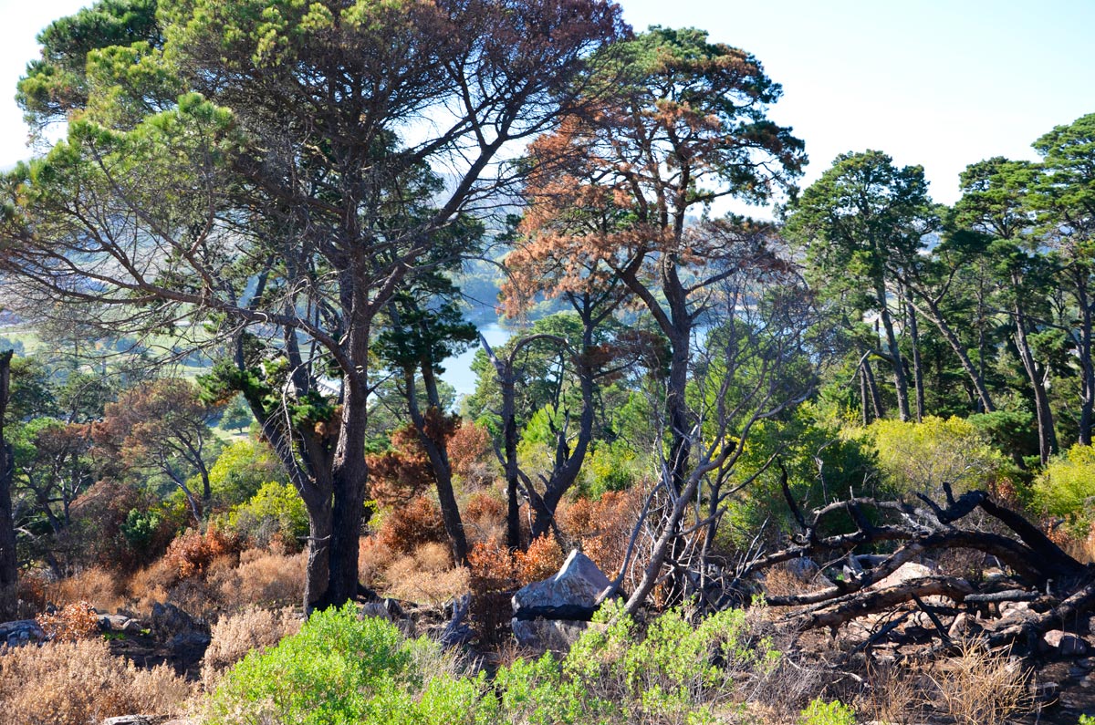 Tandil - Parque Independencia