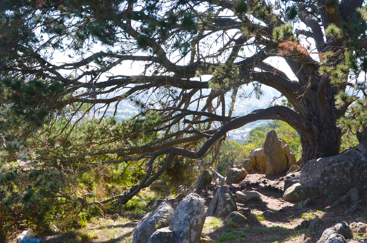 Tandil  - Parque Independencia