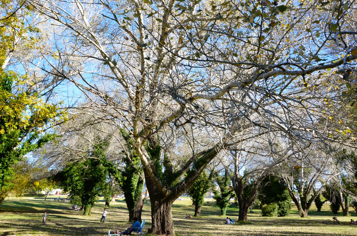 Tandil - Lago
