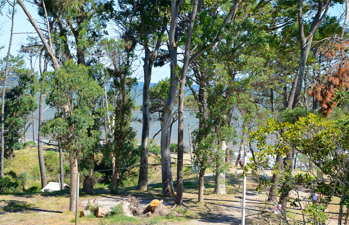 Fortín de Santa Rosa