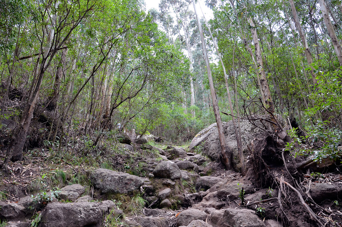 Cerro Pan de Azúcar
