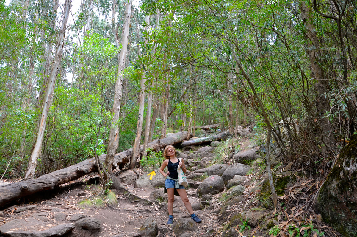 Cerro Pan de Azúcar