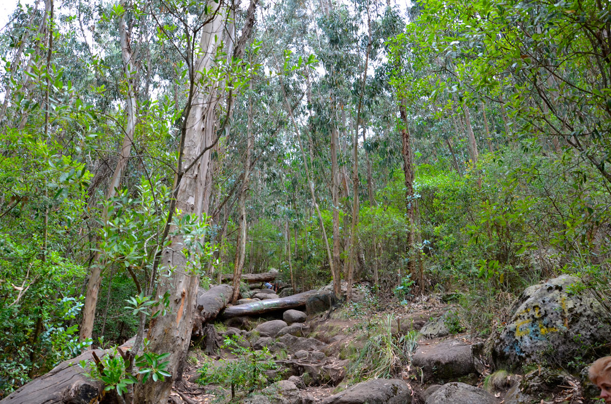 Cerro Pan de Azúcar