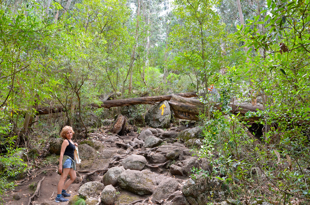Cerro Pan de Azúcar