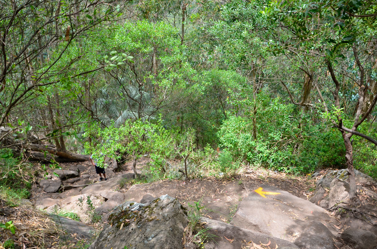 Cerro Pan de Azúcar