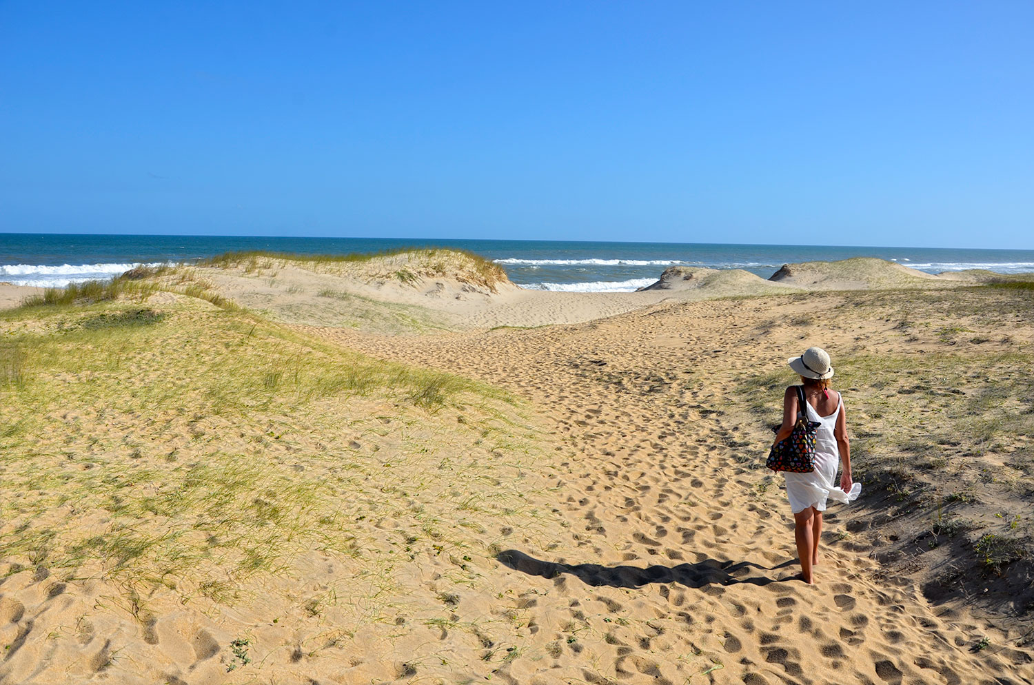 Oceanía del Polonio - Uruguay 2018