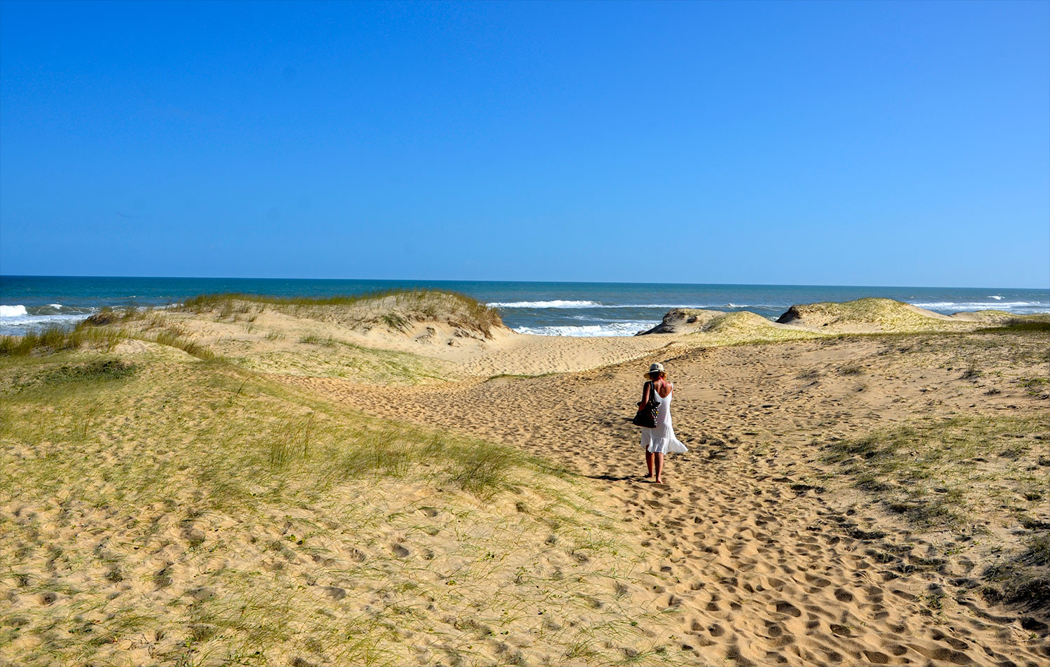 Oceanía del Polonio - Uruguay 2018