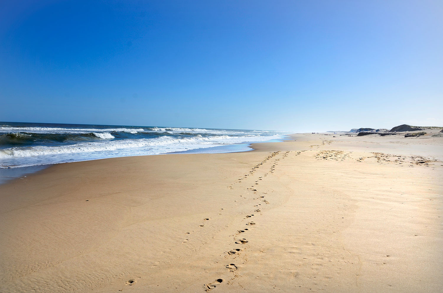 Oceanía del Polonio - Uruguay 2018