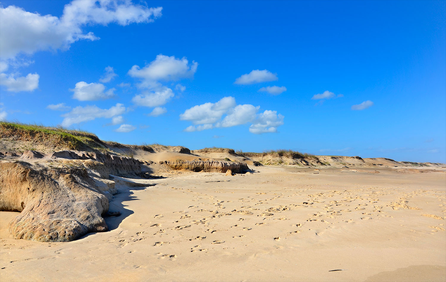 Oceanía del Polonio - Uruguay 2018