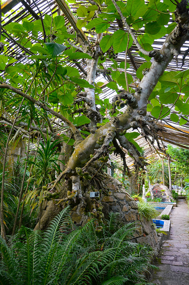 Santa Teresita, Uruguay 2018