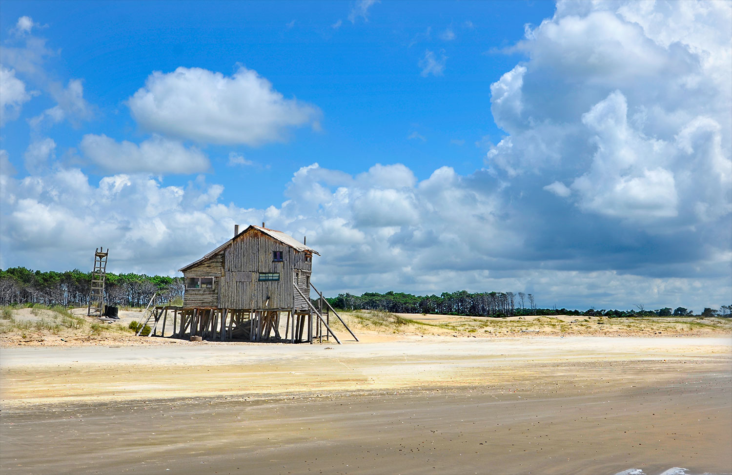 Barra de Valizas - Uruguay 2018